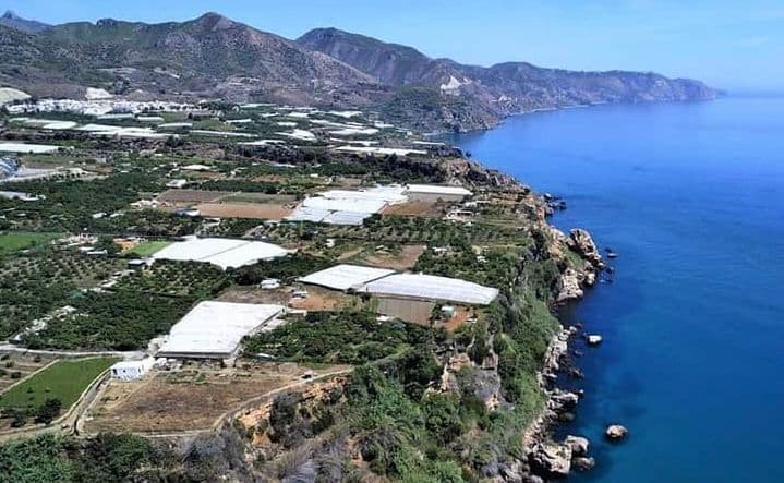 El pleno inadmite a trámite el proyecto de campo de golf en Maro y deniega la aprobación de la modificación del PGOU para su desarrollo