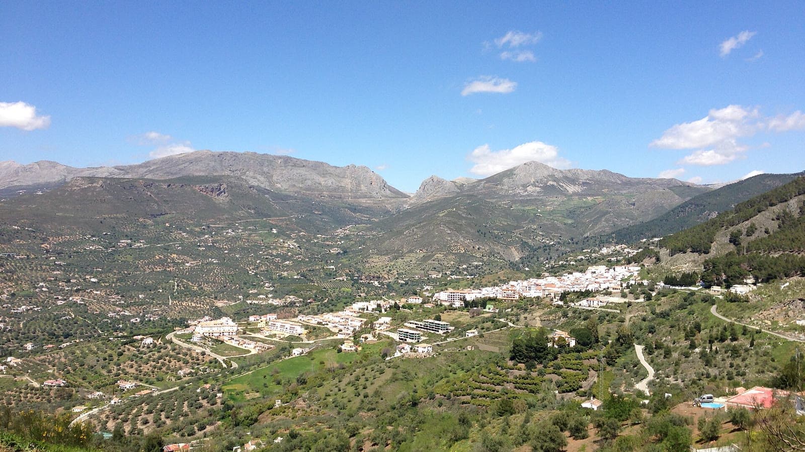 Vista de Alcaucín, con sus casas blancas entre olivares y laderas verdes, bajo las sierras de Tejeda y Almijara.