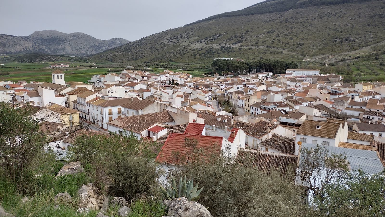Vista de Alfarnate desde el cerro del Santo Cristo, con el caserío blanco de tejados rojizos, la torre de la iglesia a la izquierda y la sierra detrás
