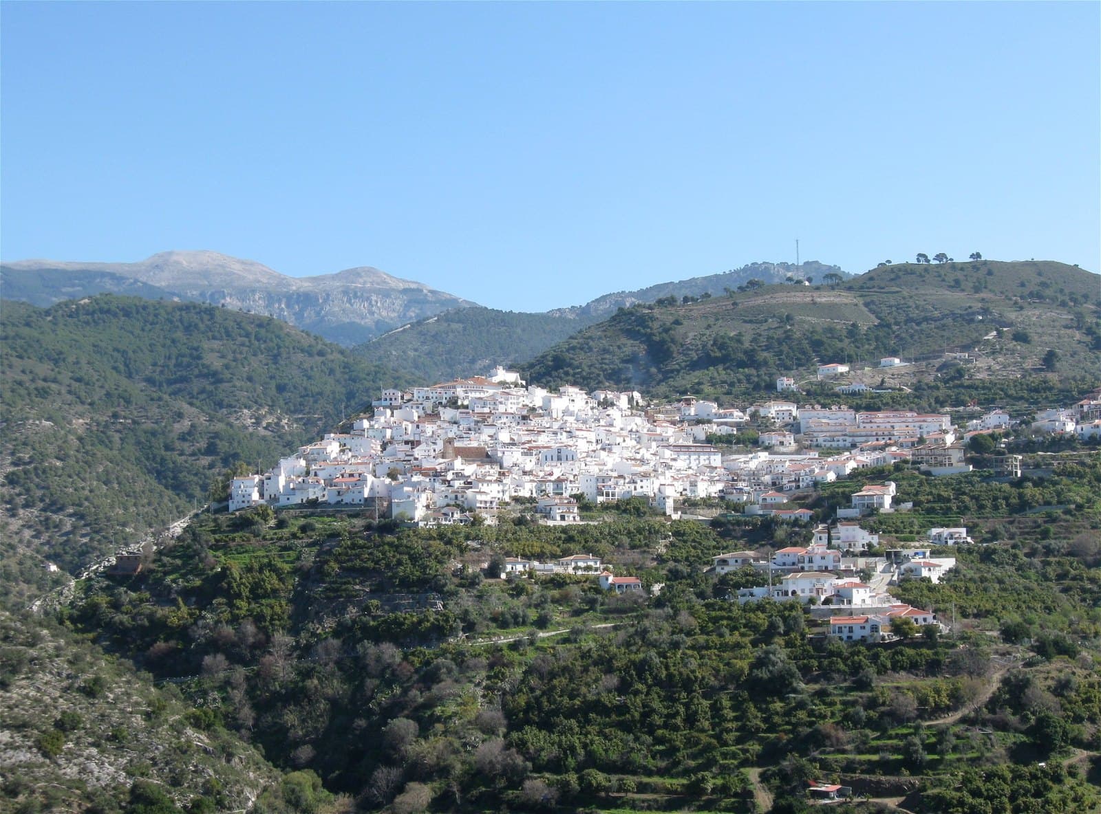 Vista de Canillas de Albaida, un pueblo blanco en lo alto de una ladera verde con huertos y monte, y las cumbres de la Sierra Almijara al fondo bajo un cielo azul.