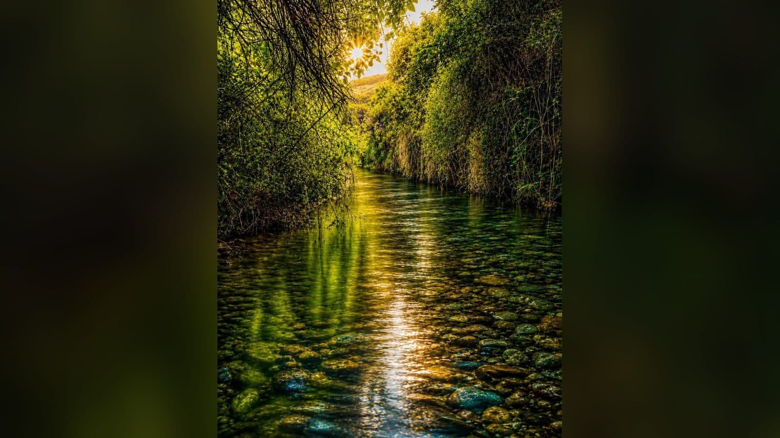 El río Bermuza en La Fájara, Canillas de Aceituno: agua clara sobre cantos rodados entre vegetación frondosa, con el sol entrando entre las ramas