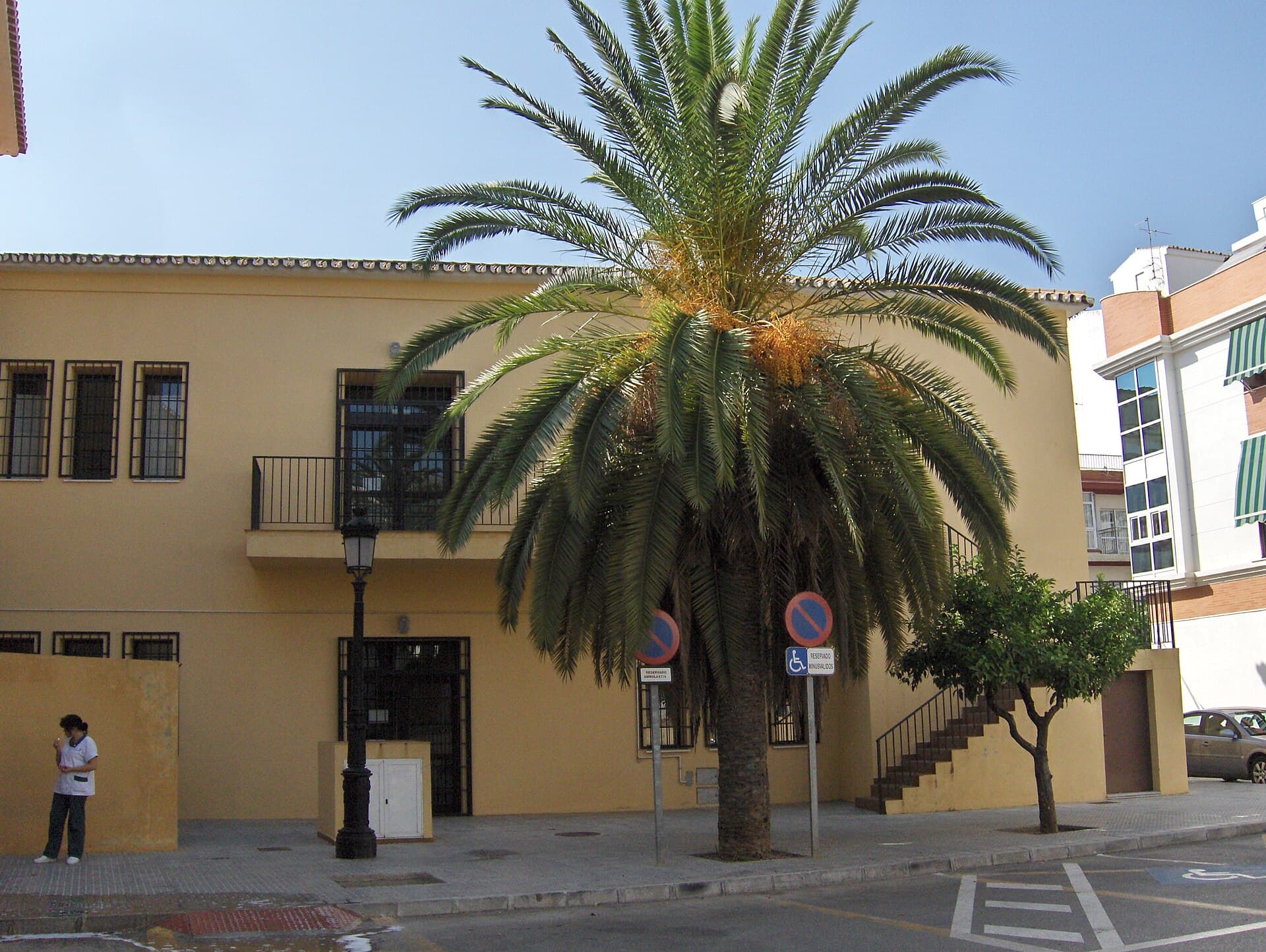 Edificio de dos plantas pintado de amarillo con una gran palmera delante, señales de aparcamiento reservado a ambulancias y a personas con discapacidad y una trabajadora sanitaria de uniforme en la acera.