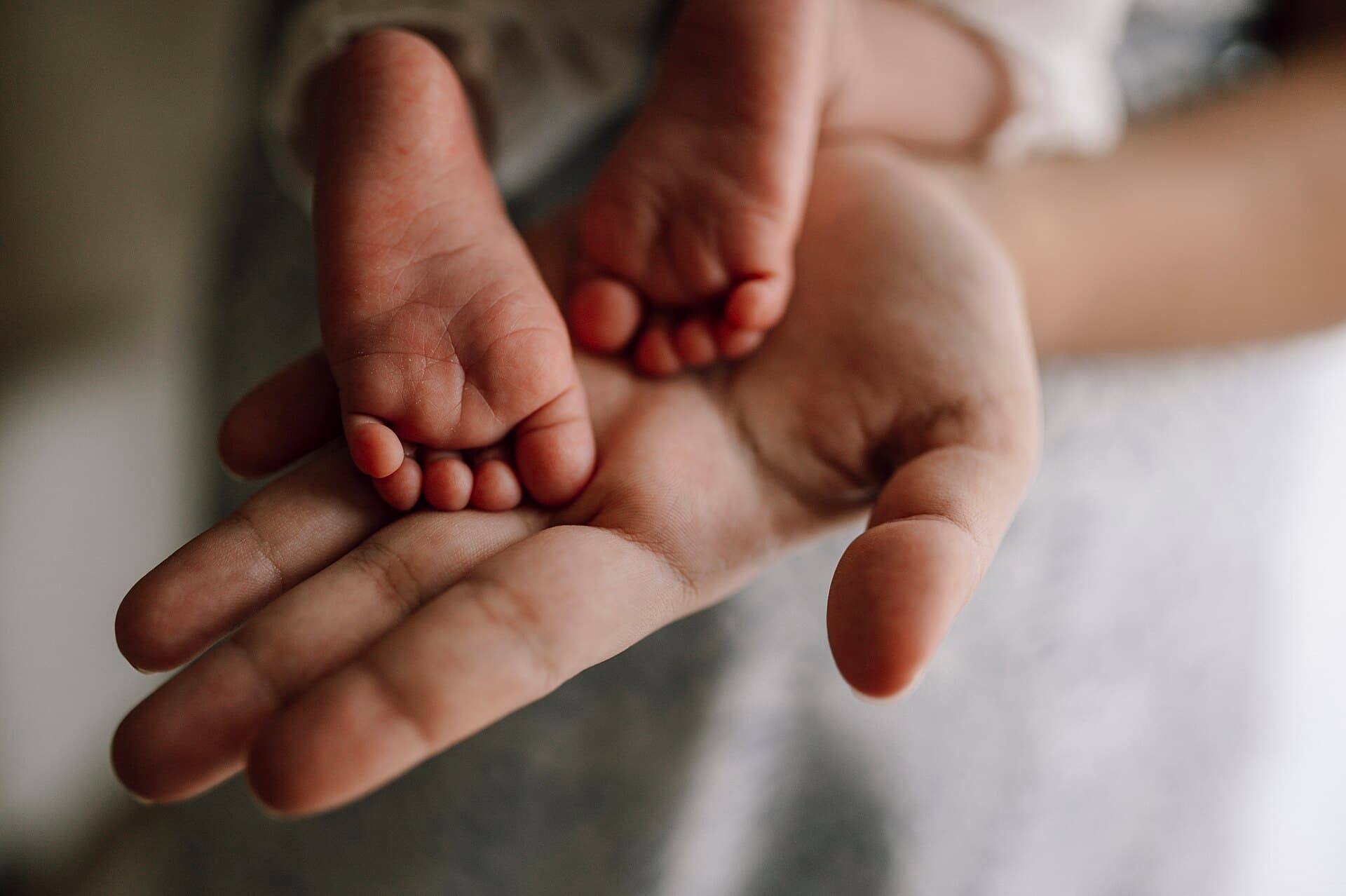 Los pies de un bebé recién nacido apoyados en la palma de la mano de un adulto.