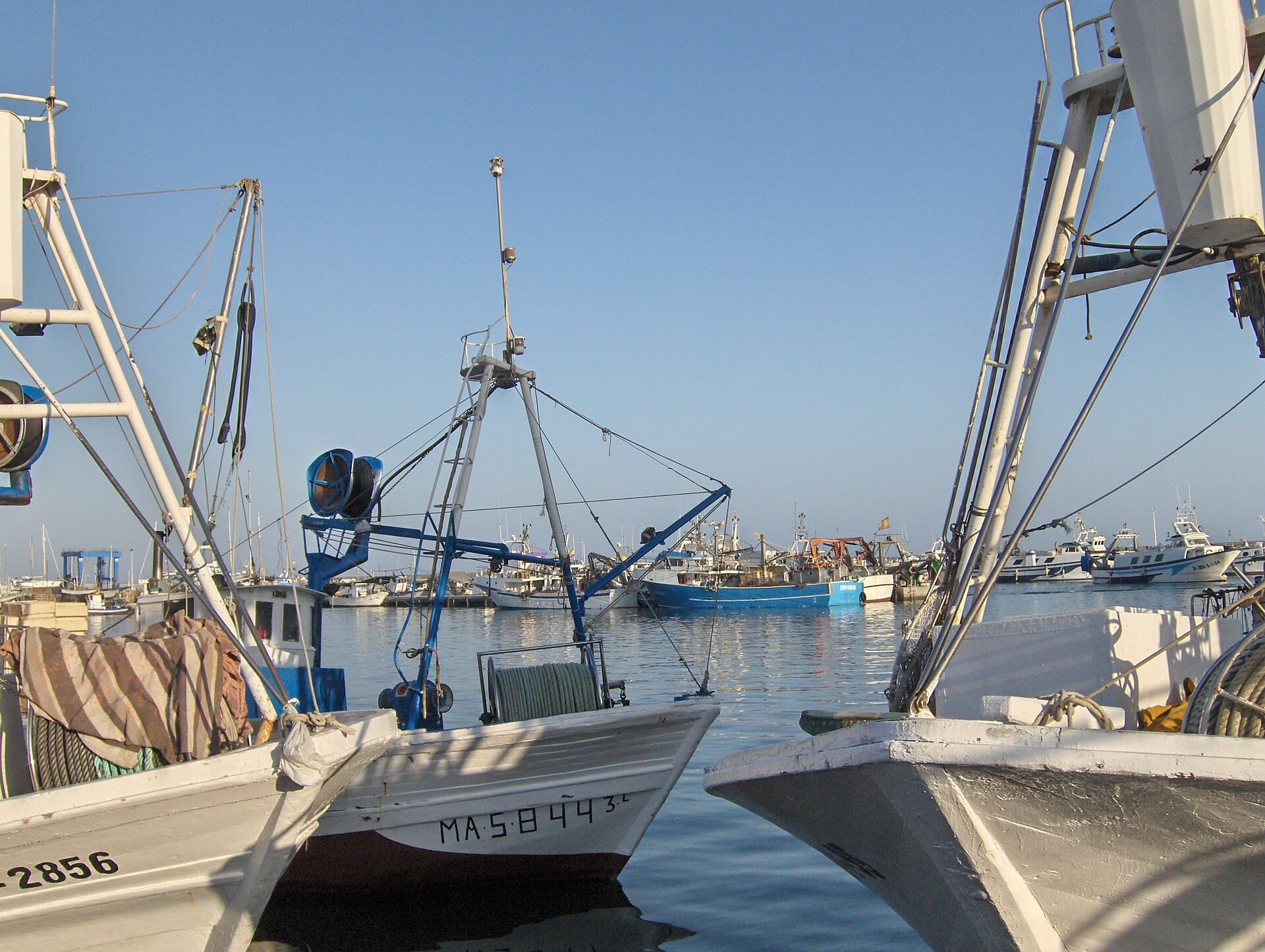 Barcos de pesca amarrados en el puerto de Caleta de Vélez, con los focos de la pesca nocturna y redes en cubierta.