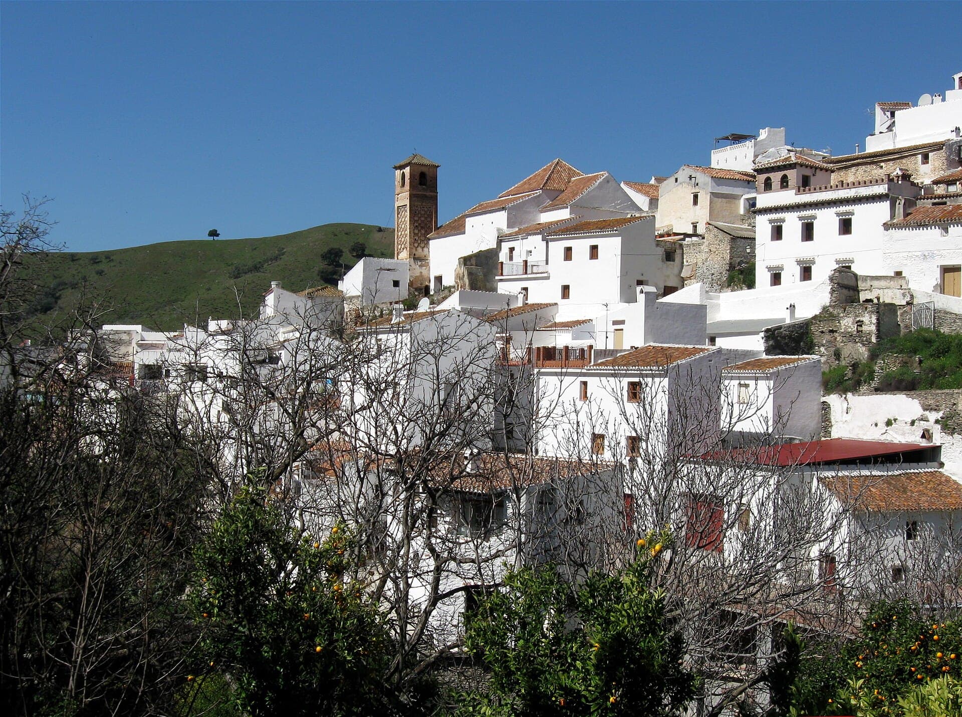 Casas blancas de Salares escalonadas en la ladera, con la torre de la iglesia a la izquierda y monte verde al fondo.