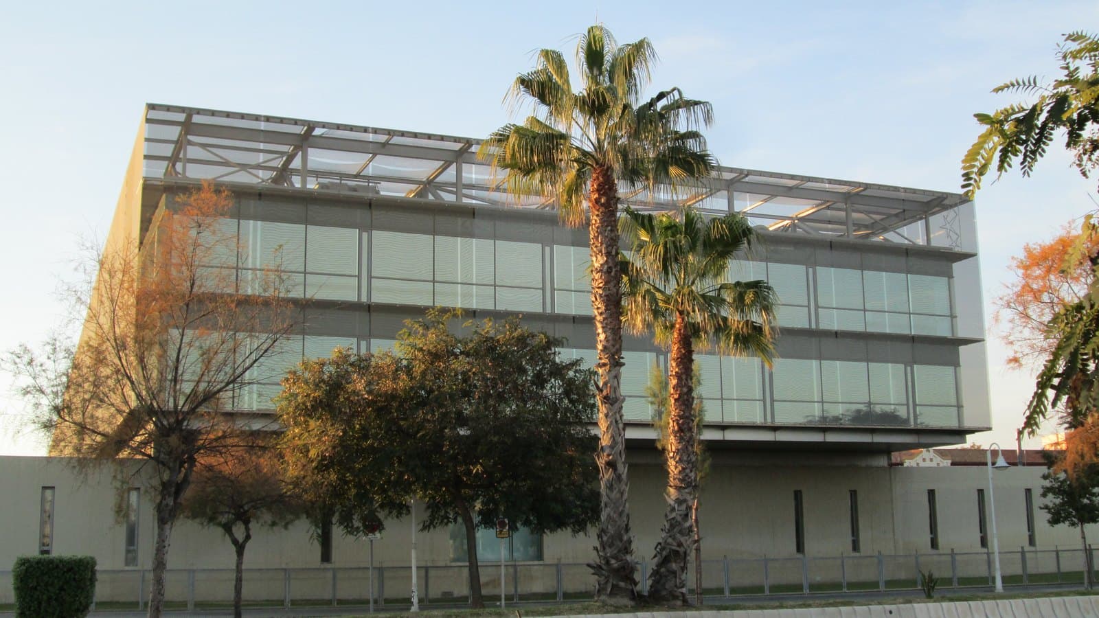 Fachada de cristal y metal de la sede de la Diputación Provincial de Málaga, con dos palmeras y árboles delante, al atardecer.