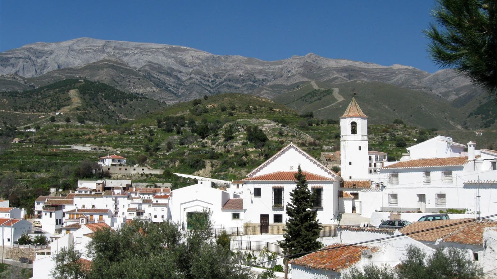 Casas blancas de Sedella con la torre de la iglesia, entre olivos y bancales, con la Sierra Tejeda al fondo bajo un cielo azul.