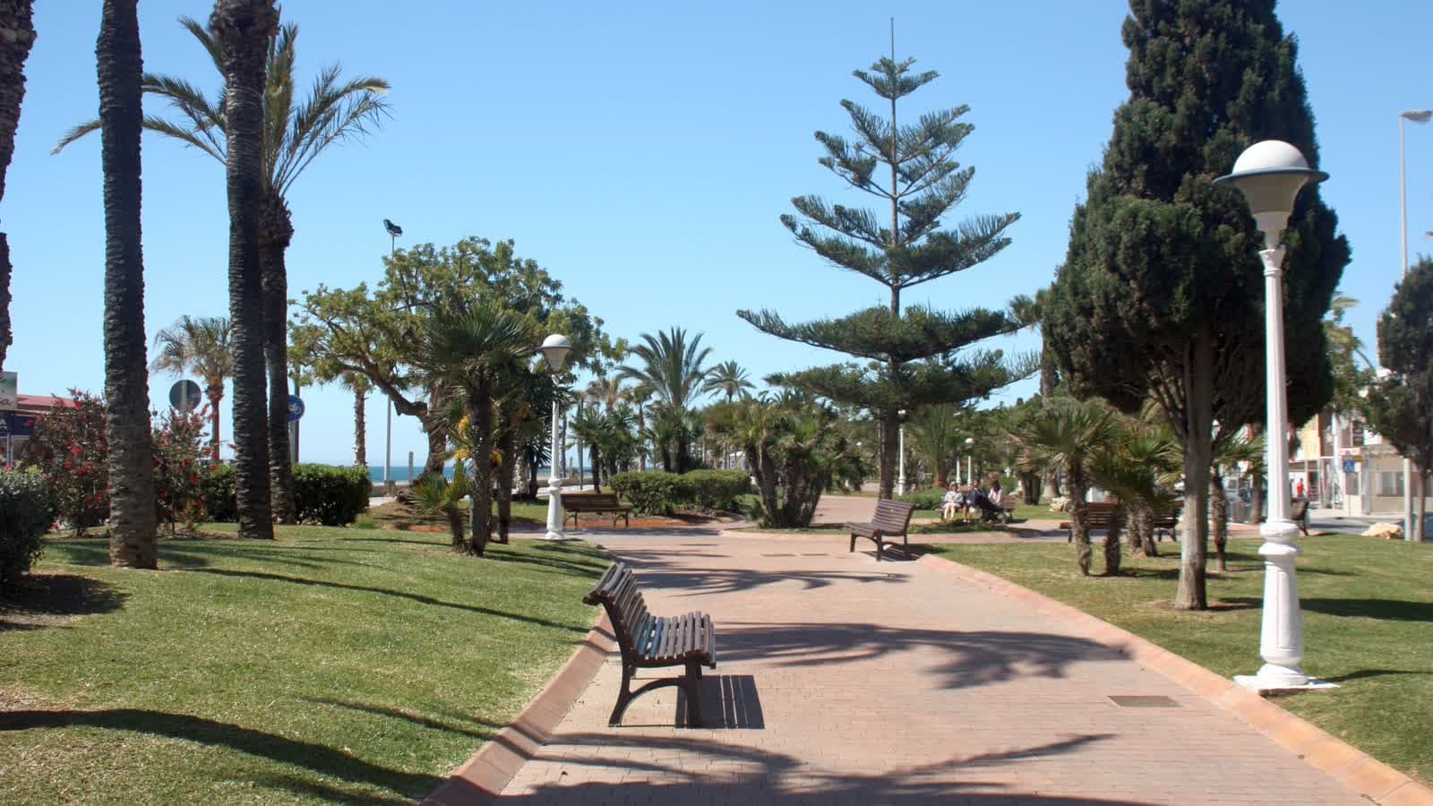 Paseo marítimo de Torre del Mar con palmeras, pinos, bancos y césped en un día soleado.