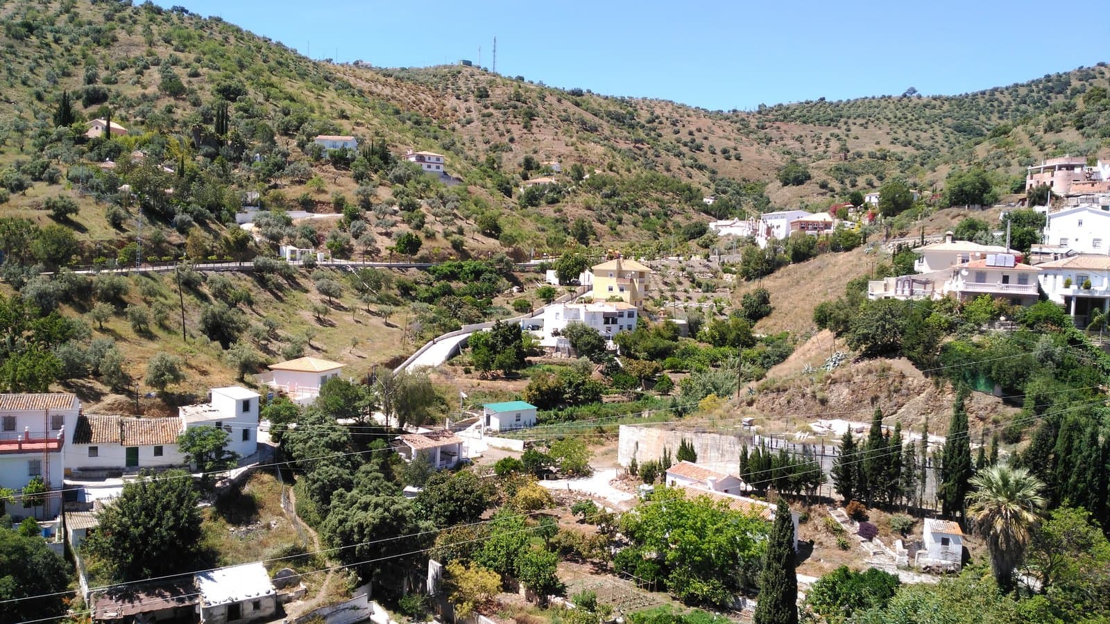 Casas blancas de Totalán repartidas por el fondo de un valle, entre huertas, cipreses y una palmera, con lomas cubiertas de olivos al fondo bajo un cielo despejado.