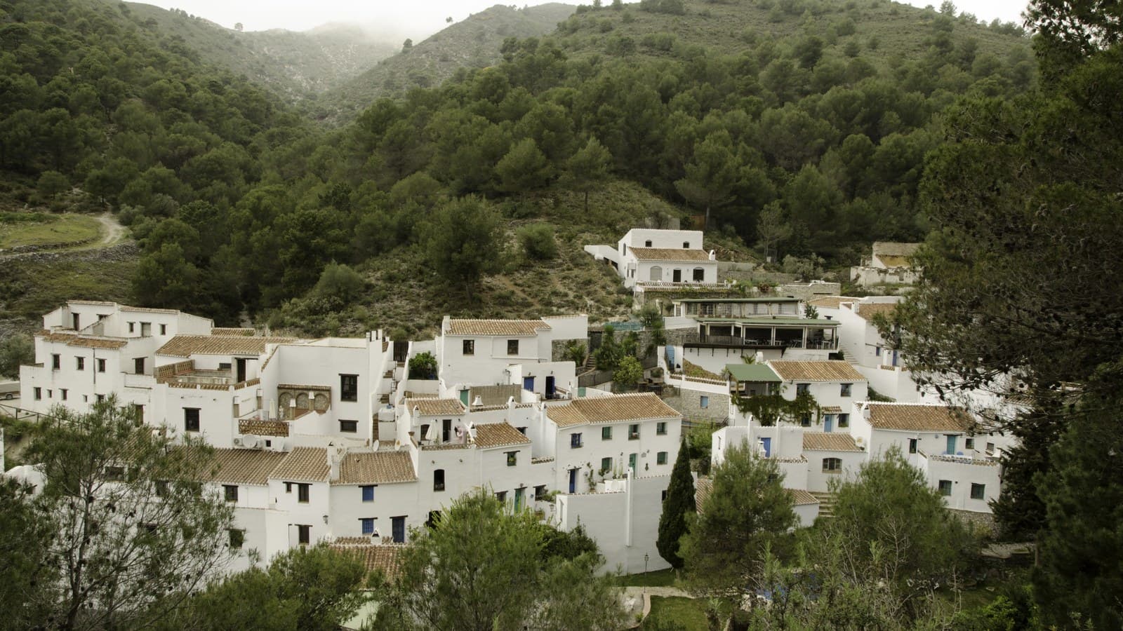 Casas blancas de la aldea de El Acebuchal, en Cómpeta, entre los pinares de la sierra.