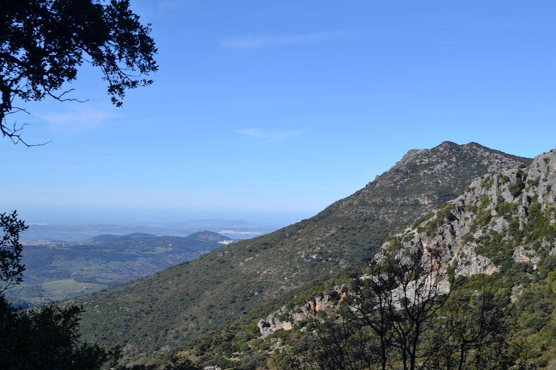 Sendero de El Pinsapar, en la Sierra de Grazalema, con laderas de roca y monte bajo y el valle al fondo bajo un cielo azul.