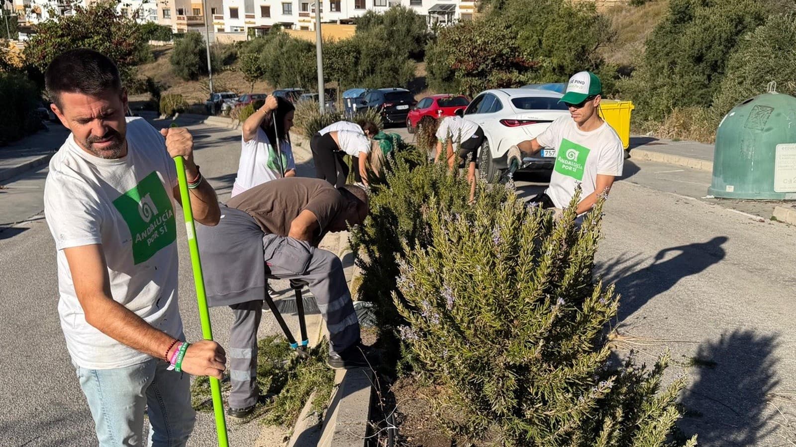 José Pino, con camiseta blanca de Andalucía Por Sí y un rastrillo verde, limpia junto a varios voluntarios del partido que podan arbustos de romero en la mediana de una calle de la urbanización Castillo de Lagos.